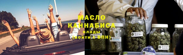 гидропоника Гусиноозёрск