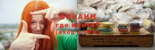 мдпв Горно-Алтайск