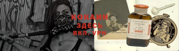 хмурый Горняк