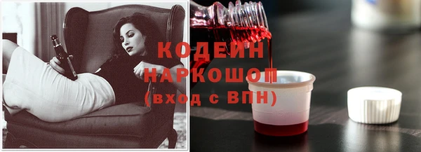 мдпв Горно-Алтайск