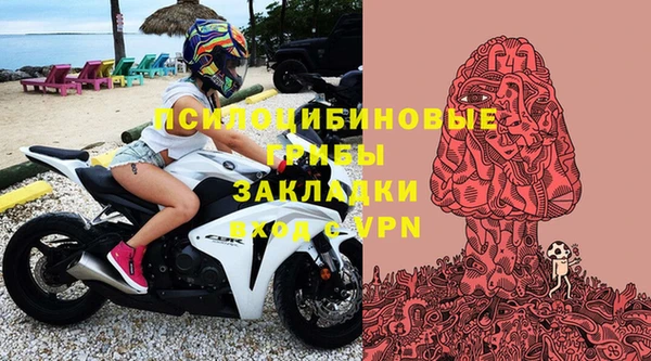 марки lsd Гусь-Хрустальный