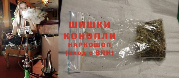 мдпв Горно-Алтайск