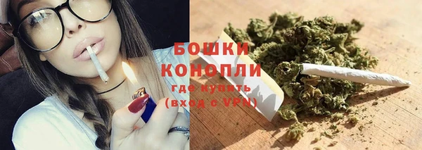 хмурый Горняк