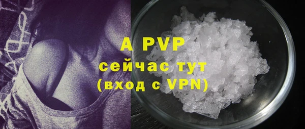 хмурый Горняк